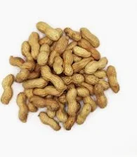 Arachide grillé bout